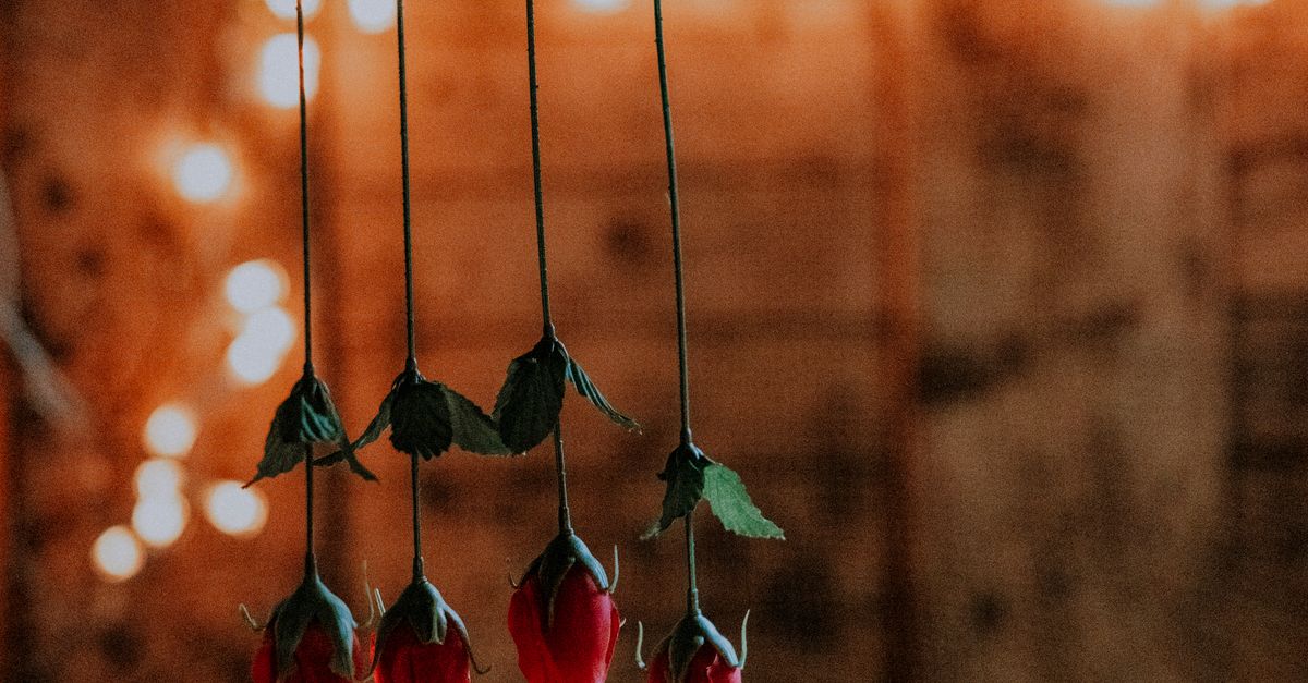Hanging Artificial Red Roses · Free Stock Photo