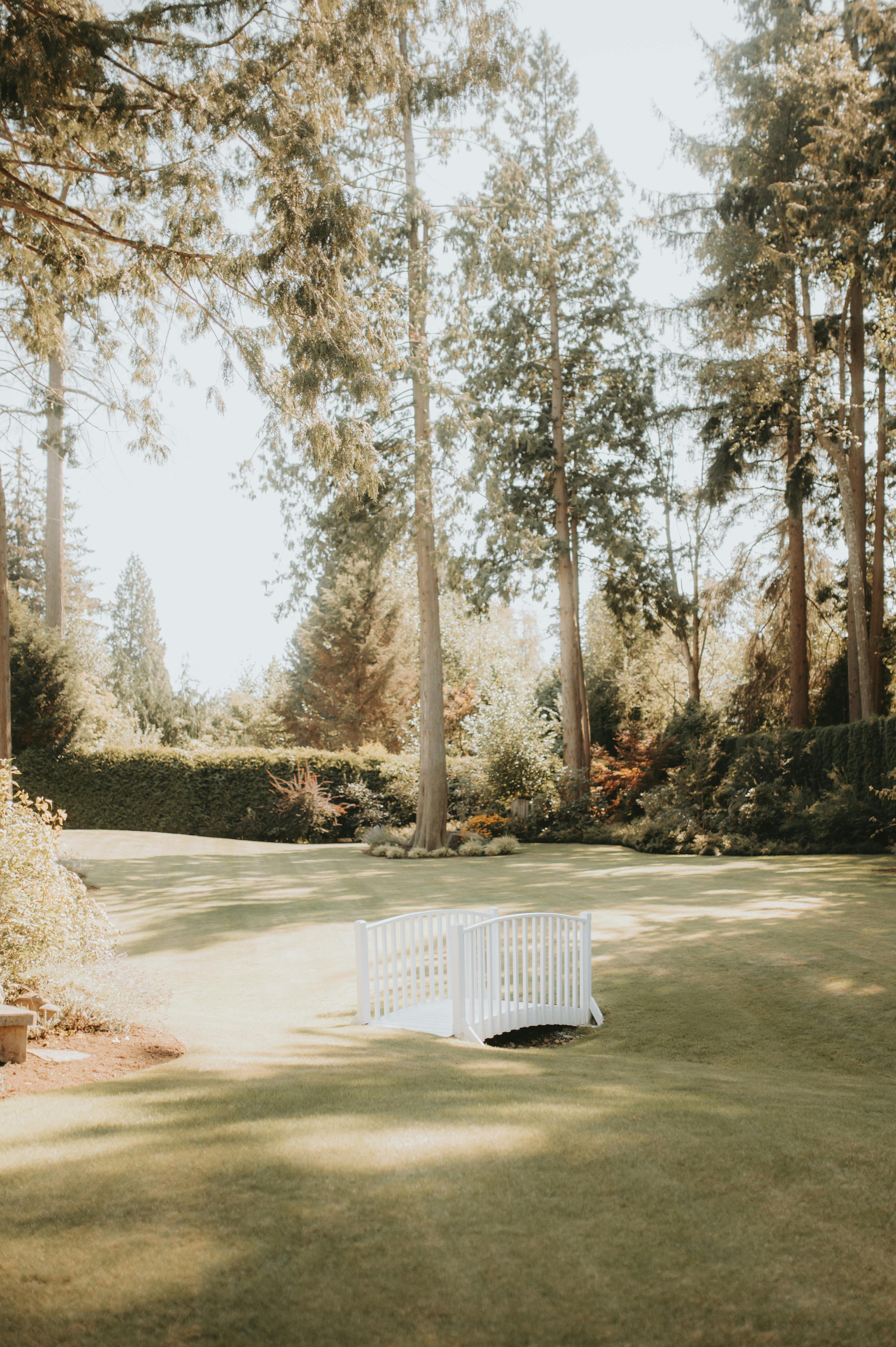 Small Wooden Bridge Across Creek In Picturesque Garden Free Stock Photo   Pexels Photo 13811101 