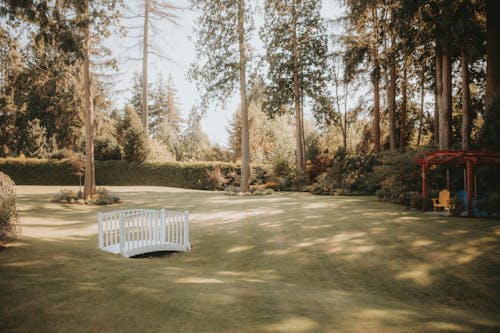 White Wooden Bridge on Green Grass Field Surrounded by Trees