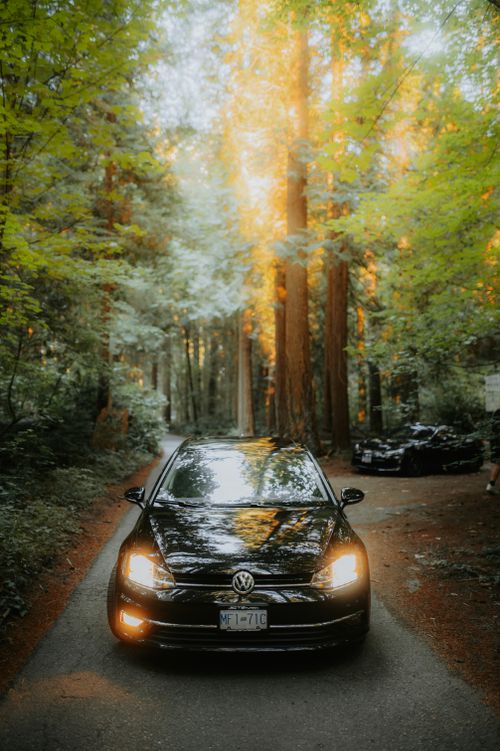 Free A serene image of a black Volkswagen car driving through a lush, green forest road. Stock Photo