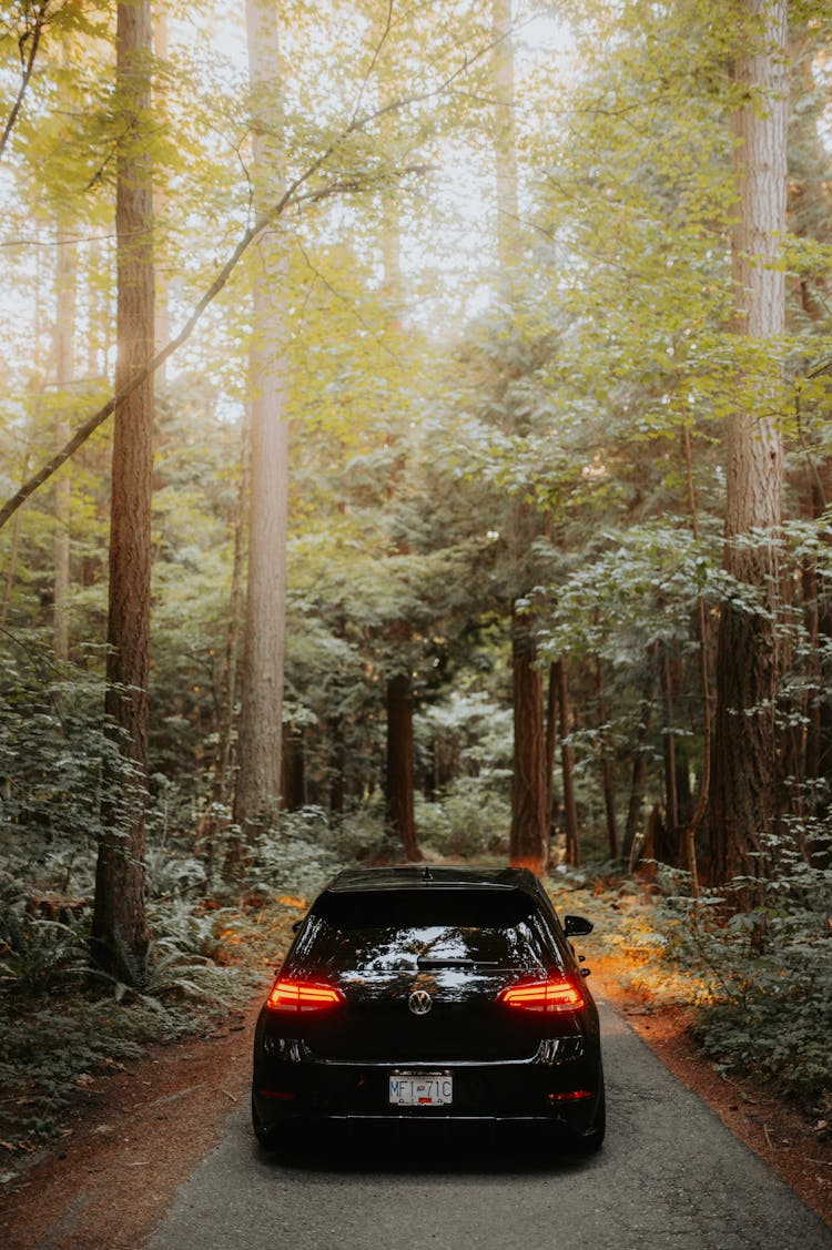 Black Car On Road In The Middle Of Forest