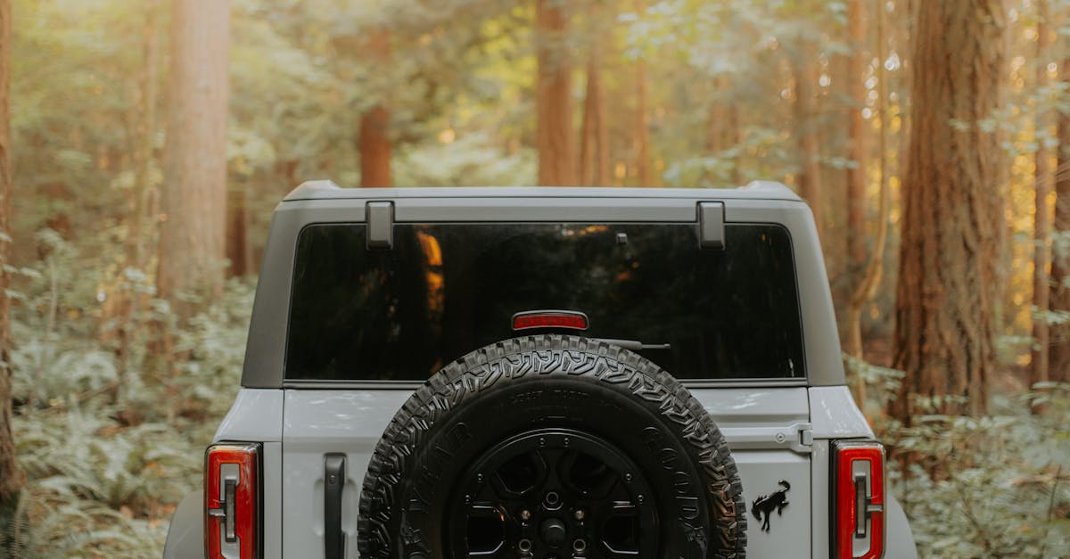 Back View of a Ford Bronco · Free Stock Photo