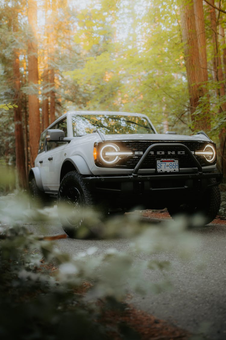 Close-up Of A Ford Bronco In A Forest