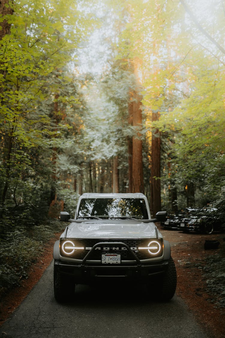 Ford Bronco Vehicle In The Forest