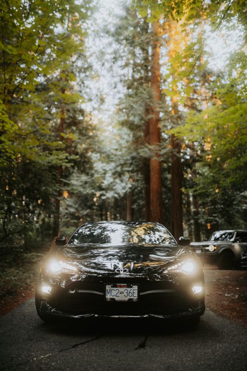 Free A sleek black car with headlights on, parked in a tranquil forest road. Stock Photo