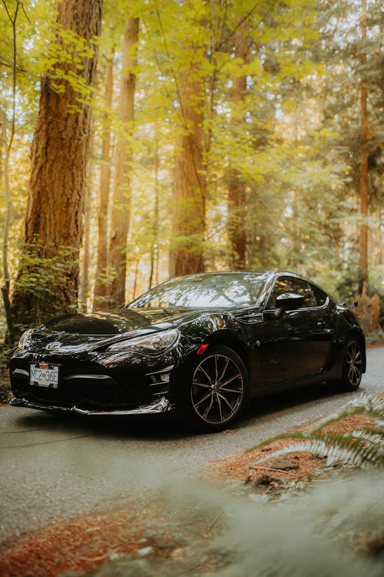 Black Sports Car On The Road In The Mountains