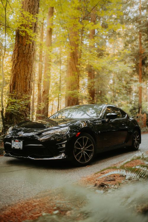 Free A shiny black sports car parked on a forest road surrounded by towering trees in daylight. Stock Photo