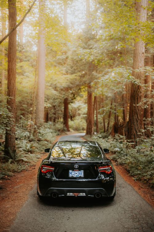 Free A black sports car driving through a scenic forest road during the day, surrounded by tall trees and sunlight. Stock Photo