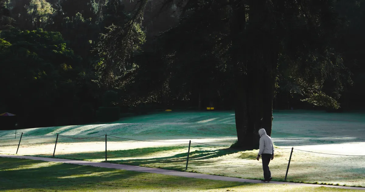 A person in a hoodie walking alone on a path through green parkland