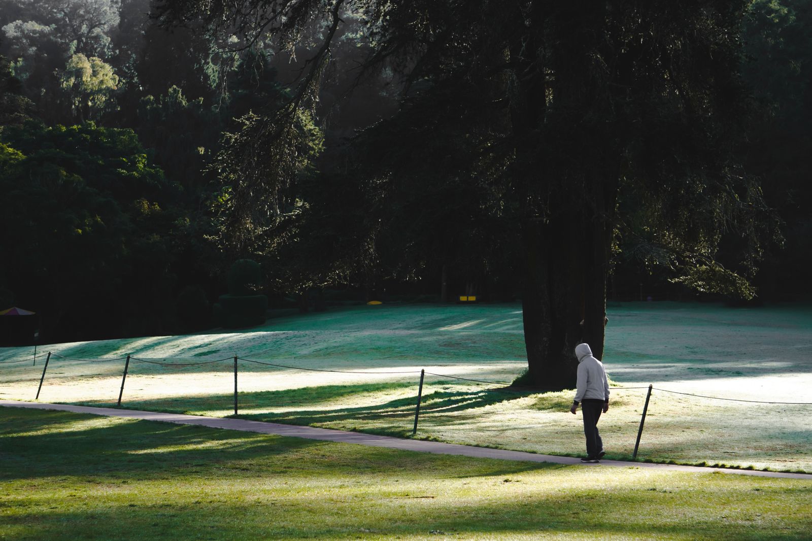 A person walking along a green park path