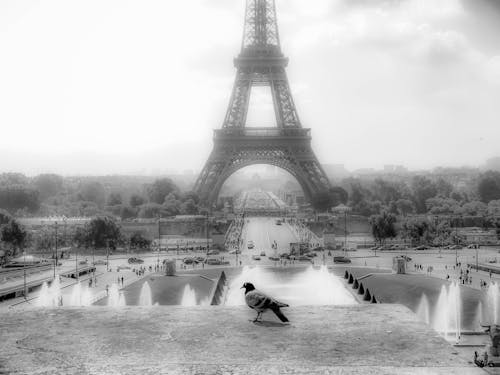 Free stock photo of eiffel tower, france, paris Stock Photo