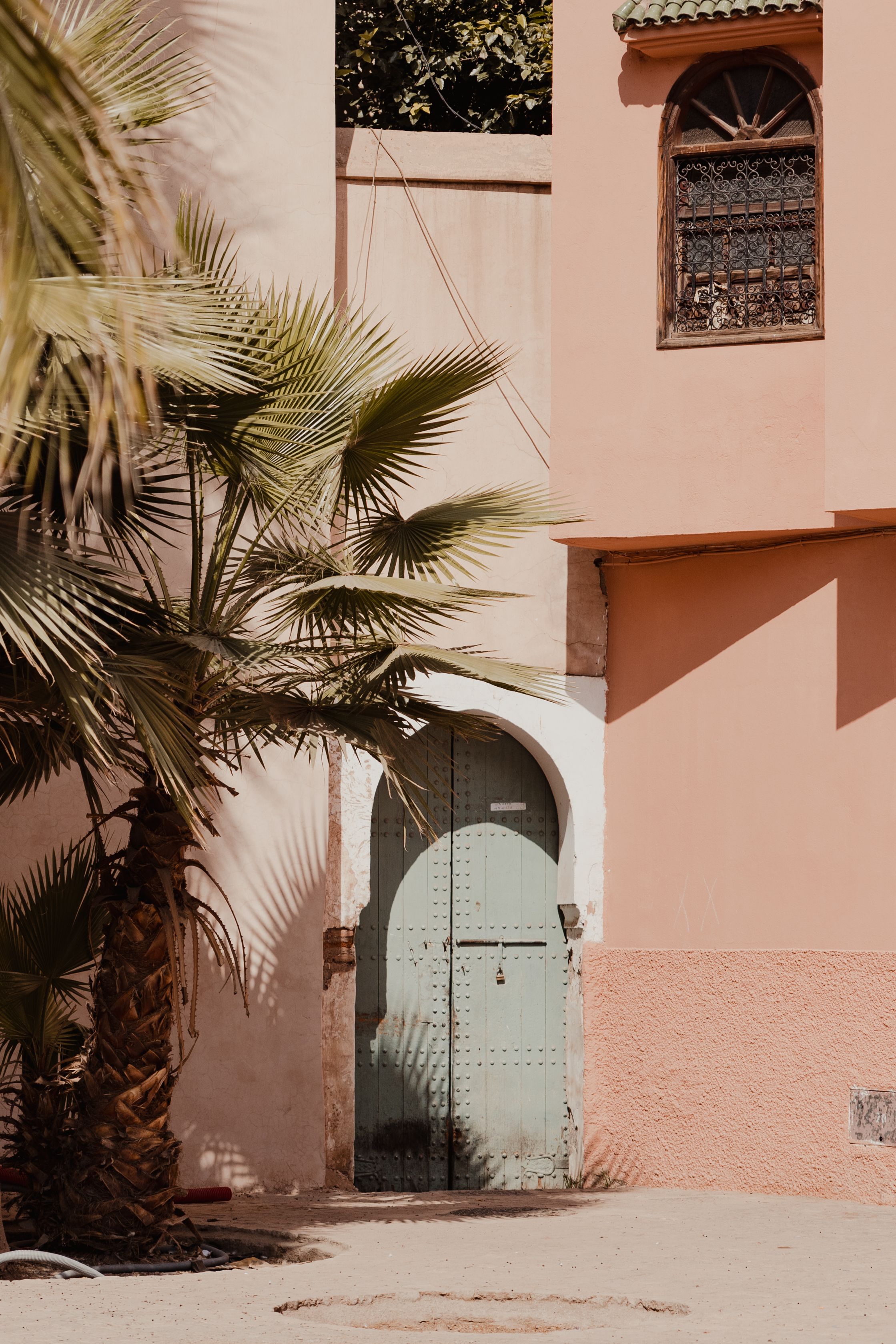 A vintage door surrounded by warm-toned walls and a lush palm tree in sunlight, capturing a serene, nostalgic feel.