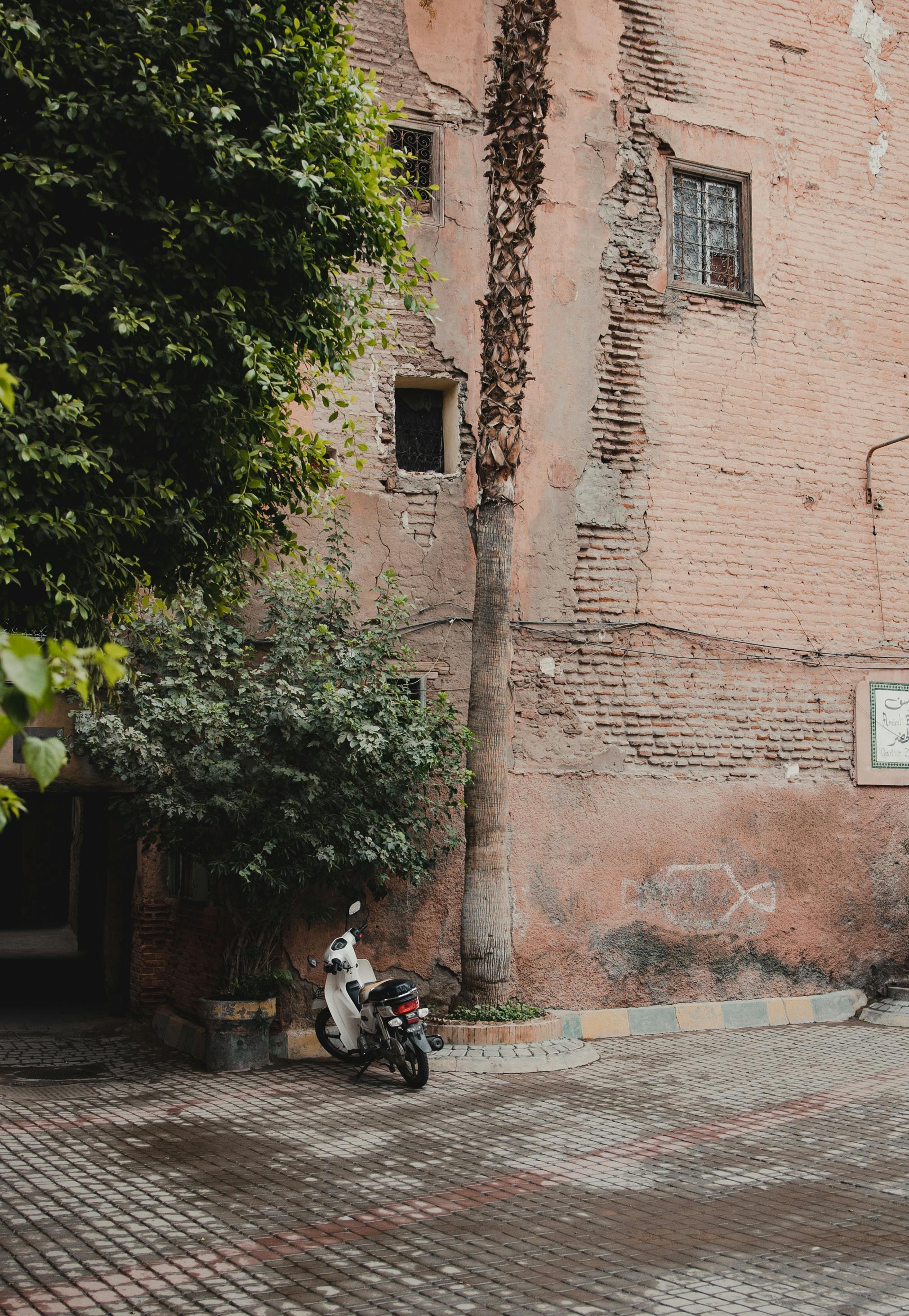 Free Cozy street view in Morocco with a scooter and palm tree against a rustic building facade. Stock Photo