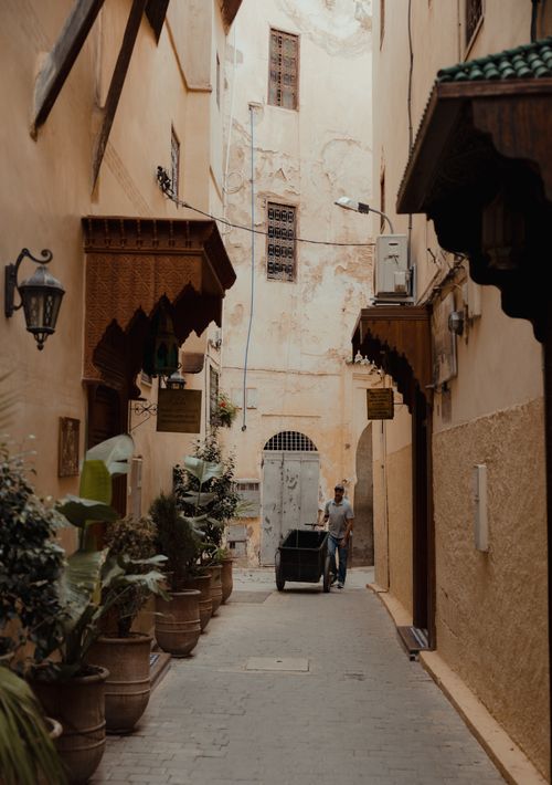 Free A quaint alleyway with potted plants and traditional architecture in an urban setting. Stock Photo