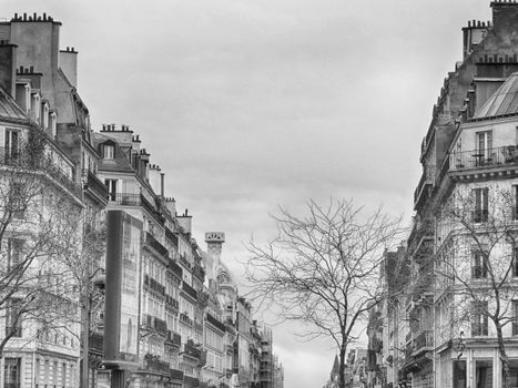 Grayscale photo of classic Parisian architecture with bare trees.