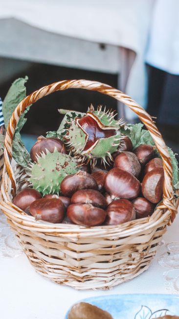Chestnut Là Hạt Gì? Phân Biệt Chestnut Với Các Loại Hạt Khác 4 A rustic wicker basket filled with fresh chestnuts and acorns, perfect for autumn decor.