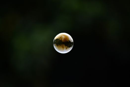 A delicate bubble floating midair with a dark, unfocused background creating contrast.