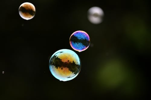Foto profissional grátis de bolhas, ciclos, conhecimento