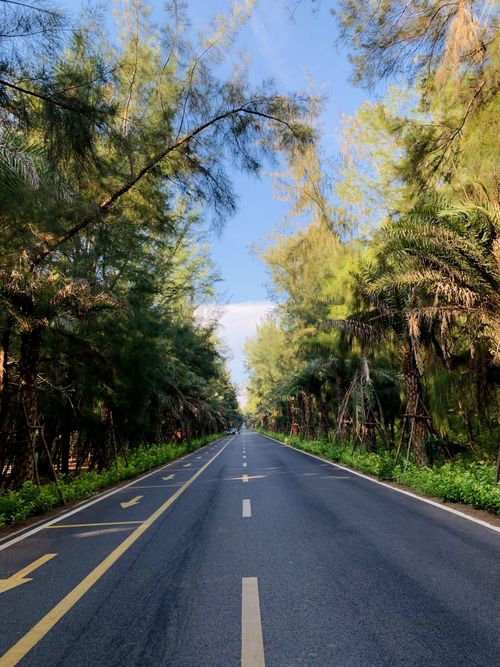 Free Straight road surrounded by lush trees under a clear blue sky. Stock Photo
