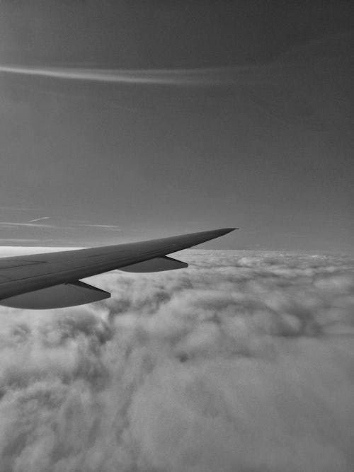 Fotobanka s bezplatnými fotkami na tému čiernobiely, čierny a biely, dopravné lietadlo