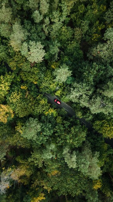 Top-down view of a red car driving through a dense green forest, showcasing nature's beauty from above.
