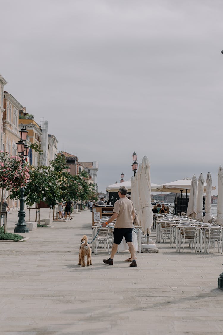 Man Walking Dog In Seaside