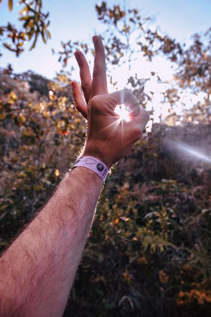 A hand making a gesture with sunlight shining through in a natural outdoor setting.