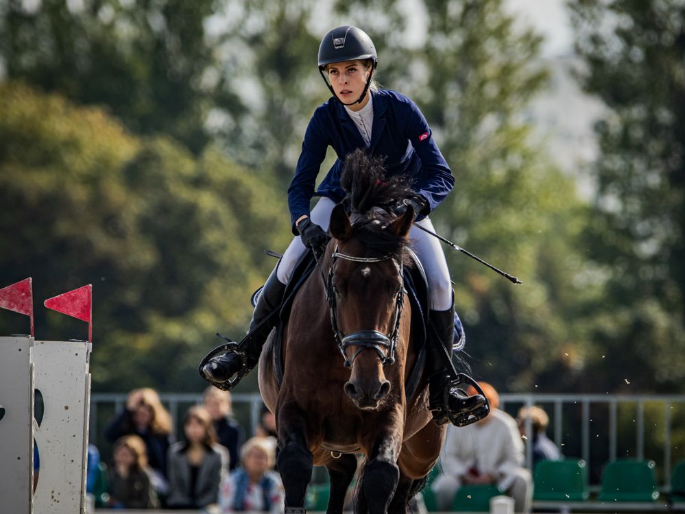 Ceinture équitation bleu roi à paillettes bleu givre bleu nuit Ceinture équitation bleu roi à paillettes bleu givre bleu nuit