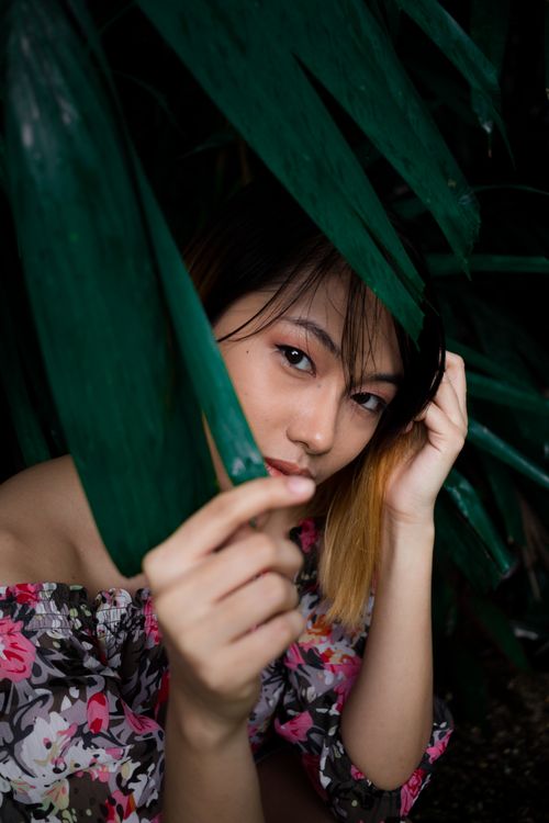Free A close-up portrait of a woman peeking through lush green leaves, conveying mystery and natural beauty. Stock Photo