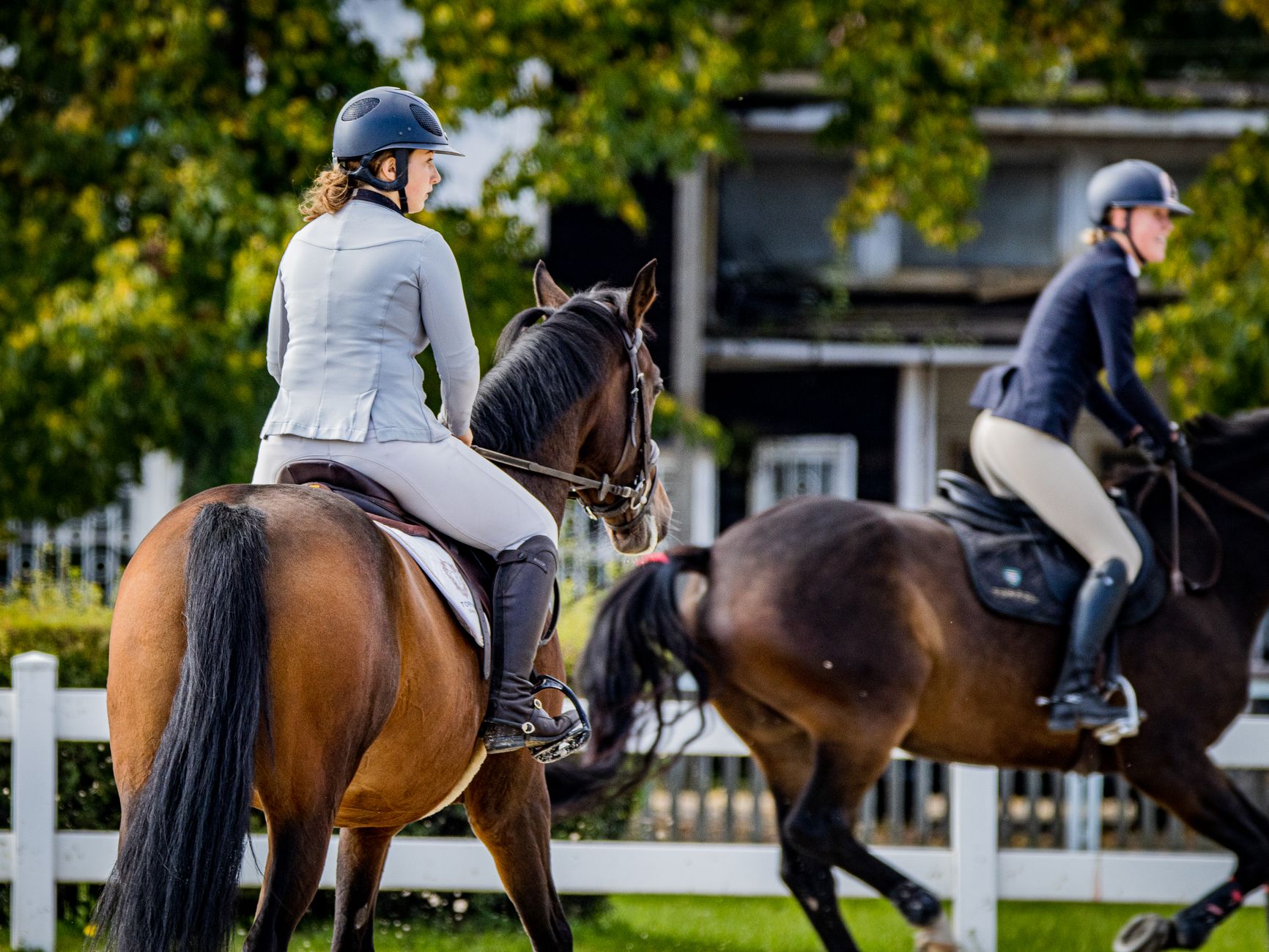 Découverte de l'équitation