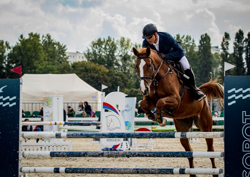 Sport horse training