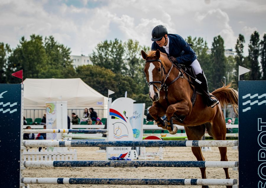 Saut d&rsquo;obstacle en concours équestre
