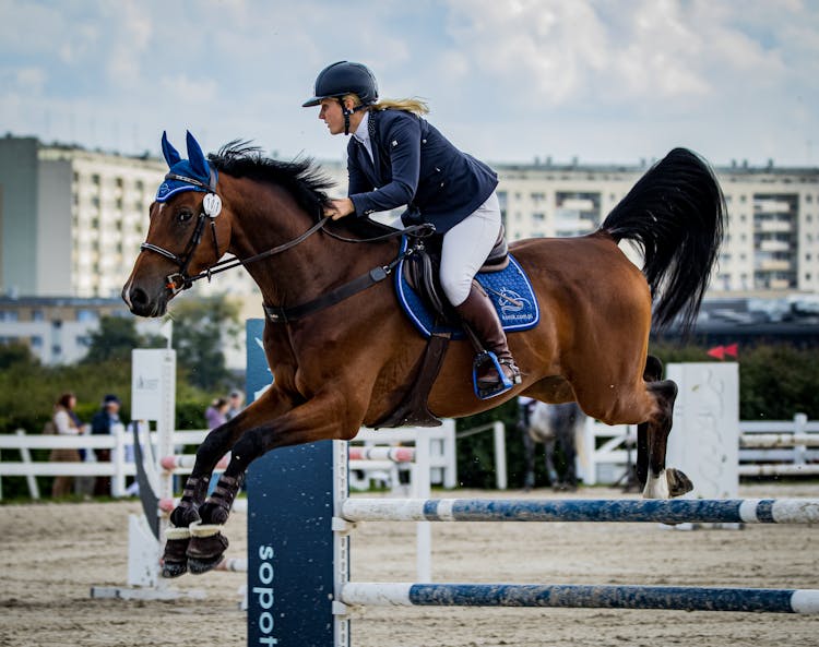 Woman Riding A Horse Jumping On A Hurdle