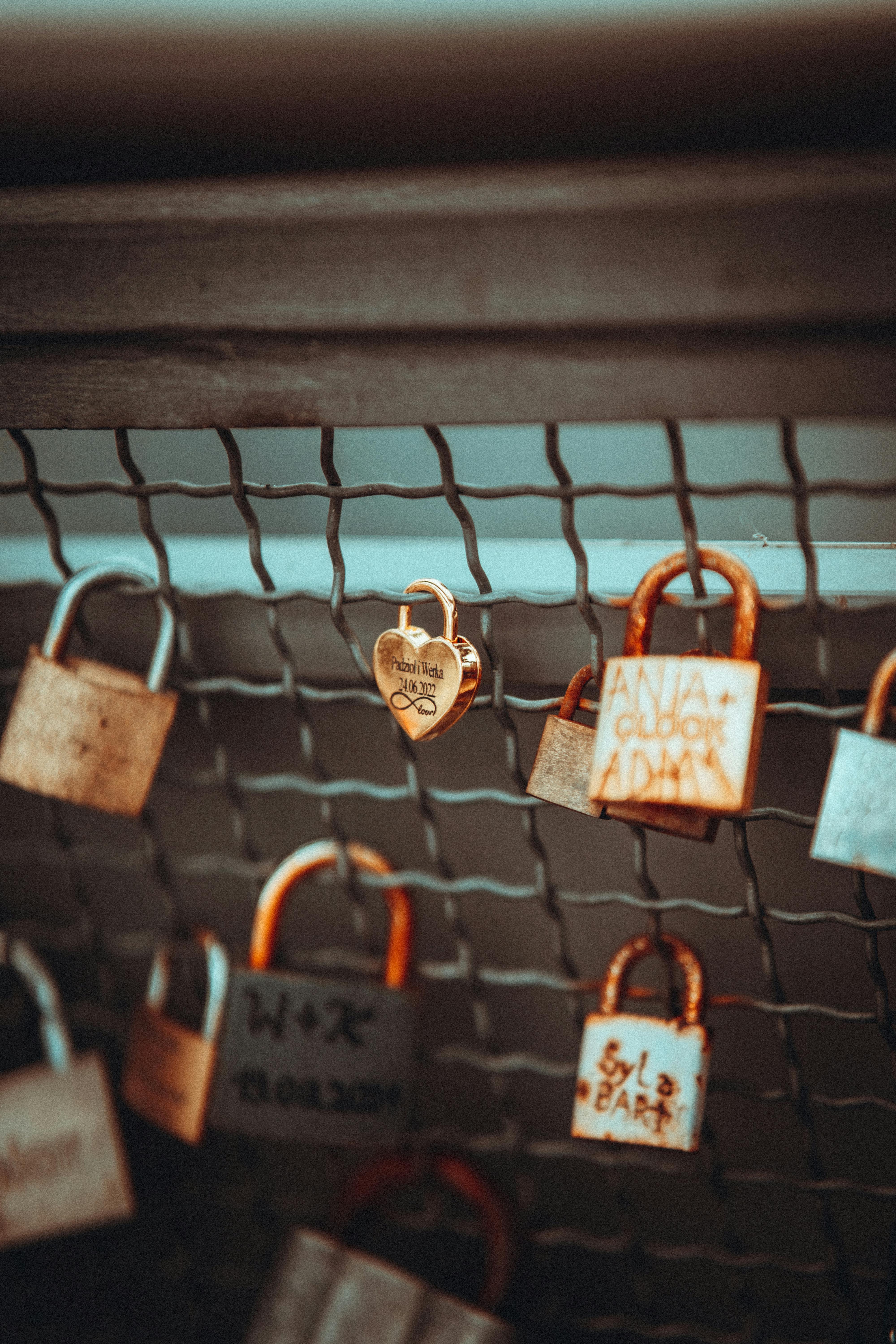 Rusty Padlocks Hanging on Chain Link Fence · Free Stock Photo
