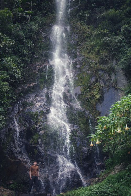 Free A man stands at the base of a cascading forest waterfall surrounded by lush greenery. Stock Photo