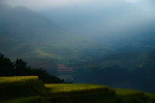 Free Breathtaking view of green rice terraces shrouded in fog, capturing the tranquility of rural nature. Stock Photo
