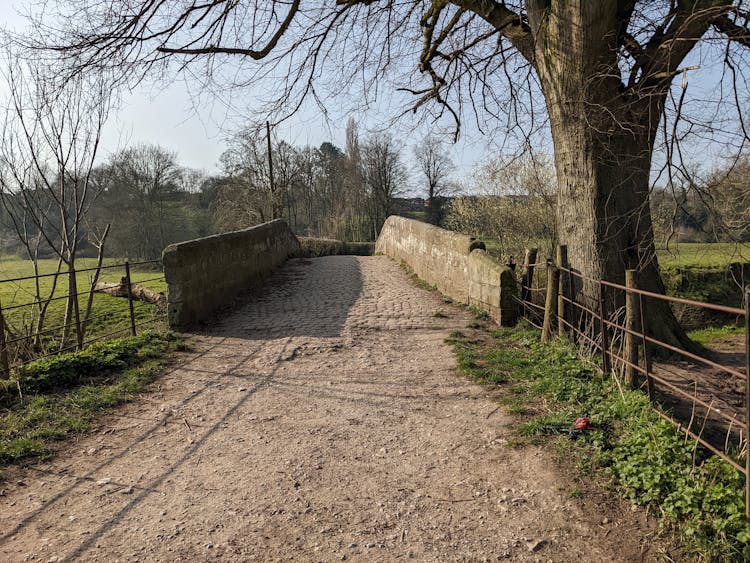 Rural Landscape With Tree By A Footbridge