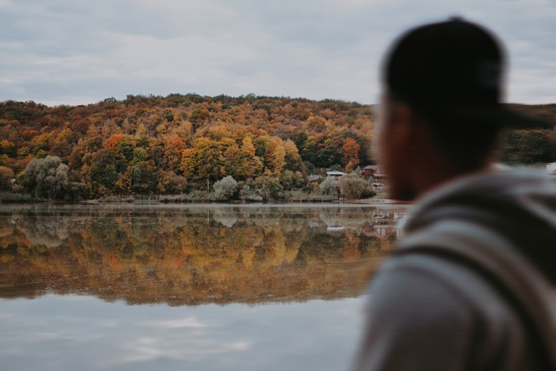 Základová fotografie zdarma na téma jezero, klidná voda, les