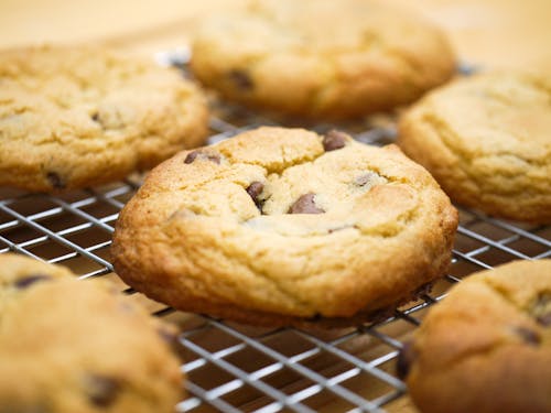 Close-Up Shot of Chocolate Chip Cookies 