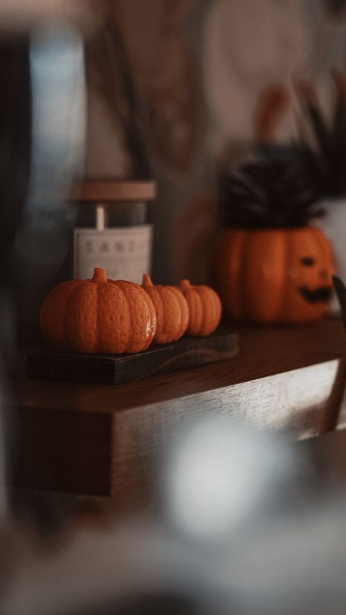 Free Warm autumn-themed still life featuring pumpkins and Halloween decor indoors. Stock Photo