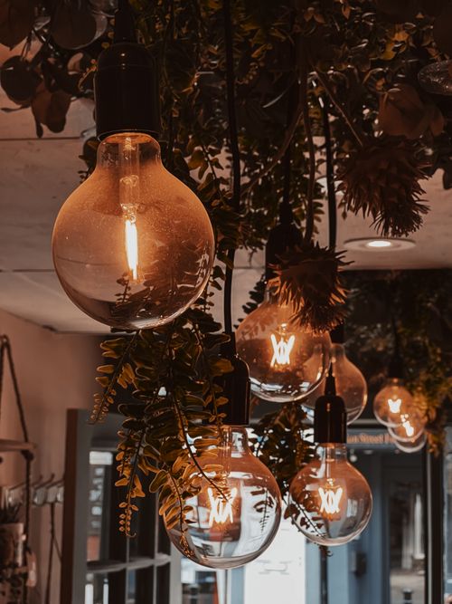Free Warm and inviting indoor scene with vintage Edison bulbs and lush greenery. Stock Photo