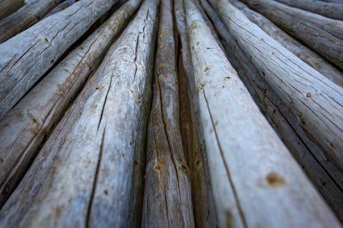 Foto d'estoc gratuïta de fusta, primer pla, textura