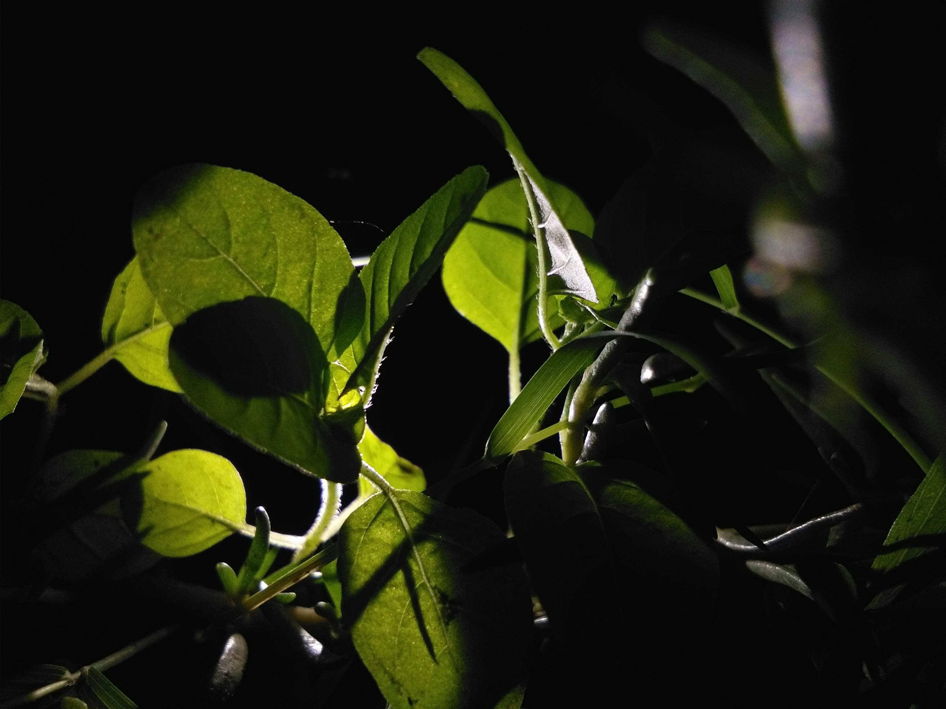 マンチェスターシティ ユニフォーム 2nd安く 買う
