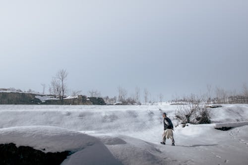grátis Foto profissional grátis de árvores, chão coberto de neve, clima Foto profissional