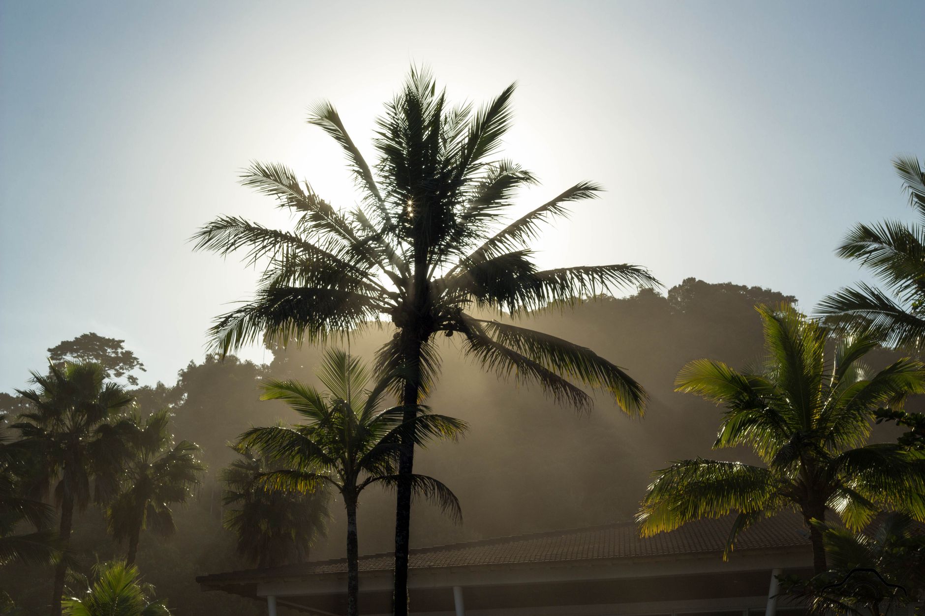Singapore rooftop solar panels under equatorial sunshine