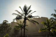 热带棕榈树的轮廓映衬着充满活力的日出，构成了一幅宁静而风景如画的景象