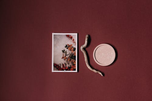 Photograph of Leaves with a Twig and a Coaster