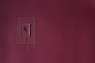 Purple Flower on Transparent Frame