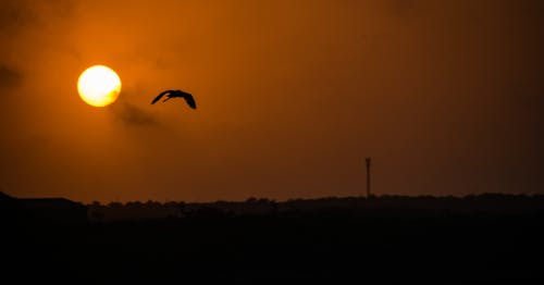 Δωρεάν στοκ φωτογραφιών με atardecer, από το φως, δύση του ηλίου