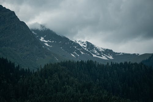 A View of a Forest and Mountains under a Cloudy Sky